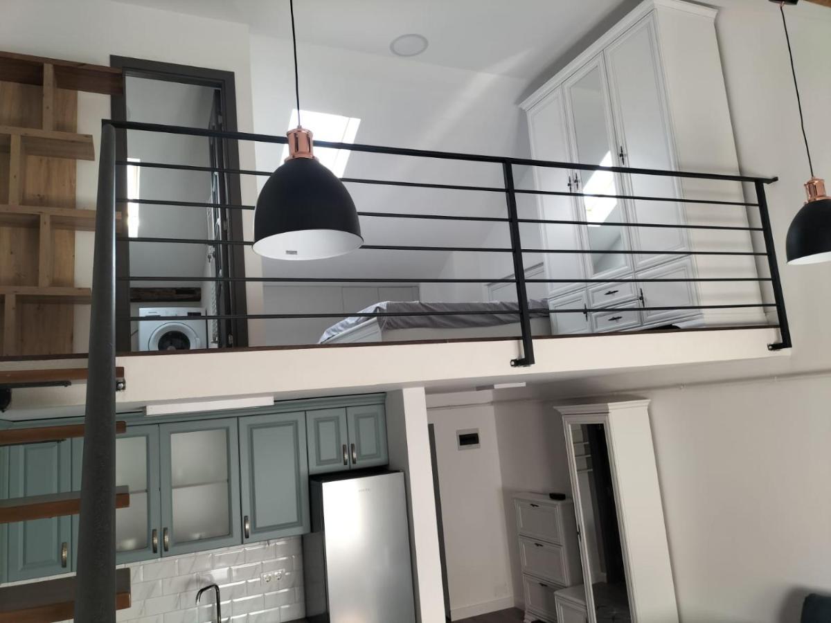 Cozy Loft Apartament シゲトゥ・マルマツィエイ エクステリア 写真